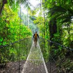 UN homme sur un pont dans la nature du Costa Rica
